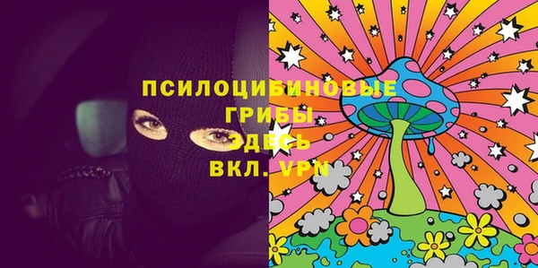 ECSTASY Алексин
