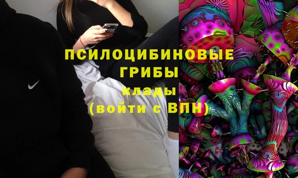 ECSTASY Алексин