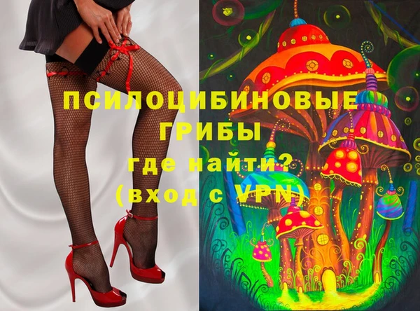 твердый Алексеевка