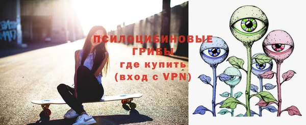 твердый Алексеевка