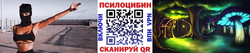 что такое наркотик  Арамиль  Псилоцибиновые грибы GOLDEN TEACHER 